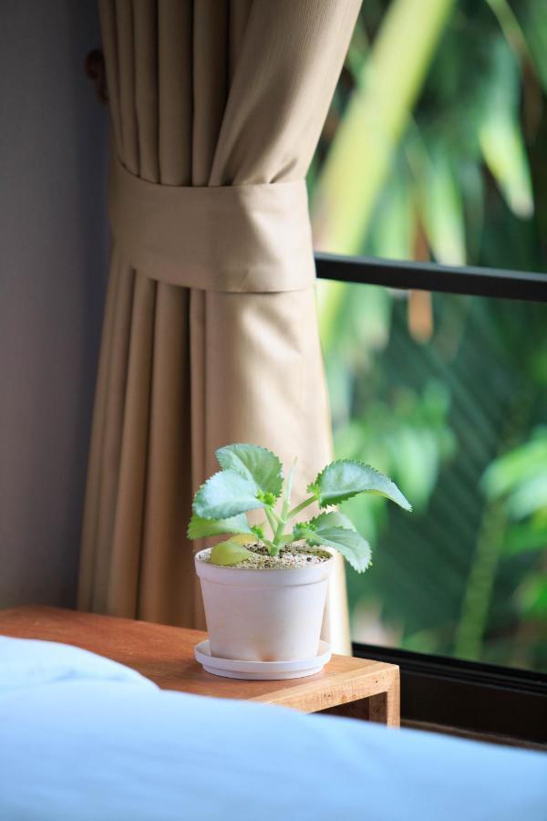 In My Place Cafotel Khlong Thom Zewnętrze zdjęcie